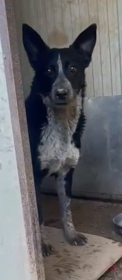 Valzer Vi Attende Per Ballare Tutta La Vita Con Lui